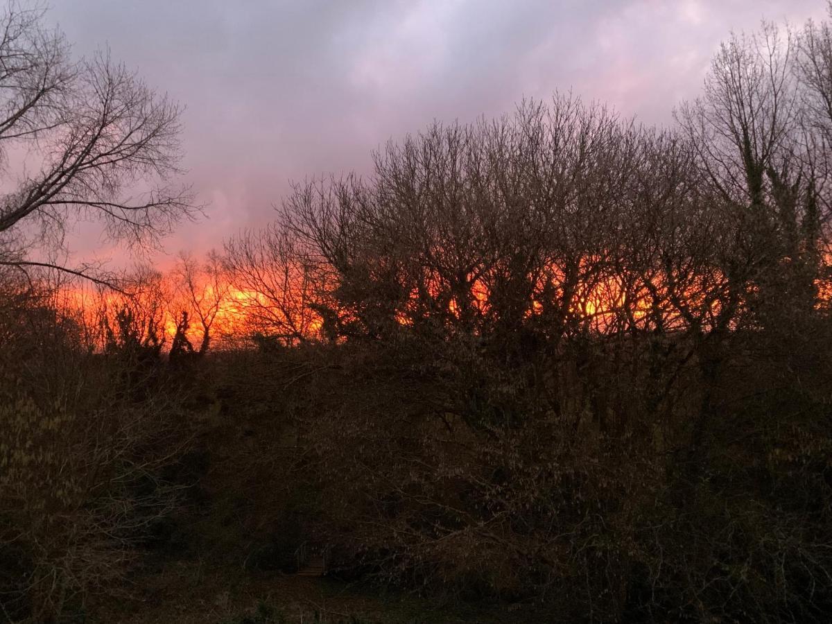 Domaine De La Blanche Hermine Plounerin Bagian luar foto