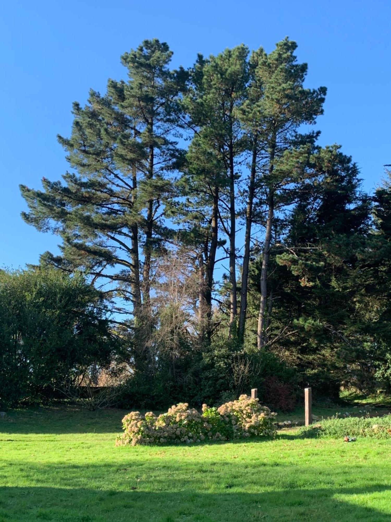 Domaine De La Blanche Hermine Plounerin Bagian luar foto