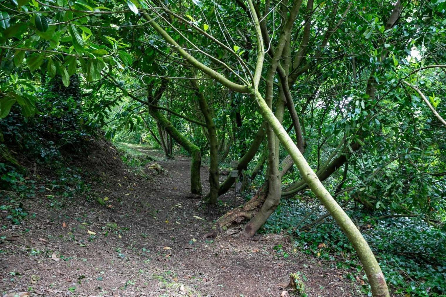 Domaine De La Blanche Hermine Plounerin Bagian luar foto